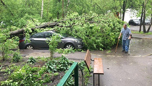 В Центральной России и Поволжье ликвидируют последствия урагана - фото 1