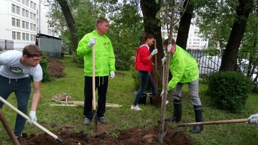 В рамках акции «Миллион деревьев» руководитель Департамента природопользования Москвы Антон Кульбачевский высадил деревья вместе с журналистами телеканала «Москва-24» и волонтерами - фото 4