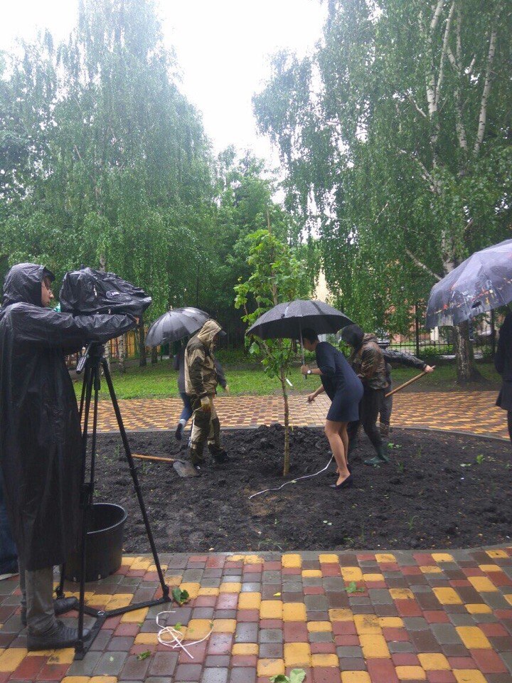 В городском Парке культуры Тамбова высадили молодые деревья - фото 3