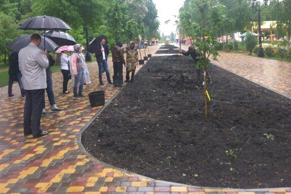 В городском Парке культуры Тамбова высадили молодые деревья - фото 1