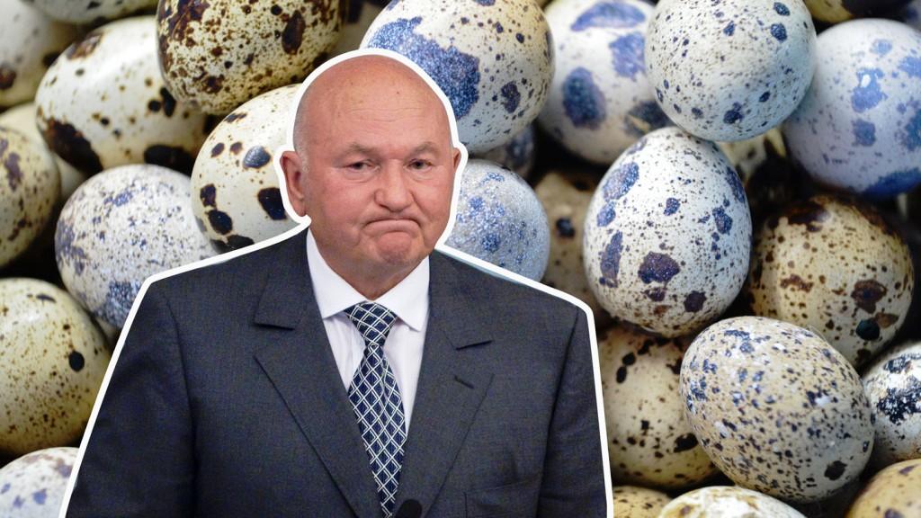 Юрий Лужков будет поставлять в торговые сети перепелиные яйца - фото 1