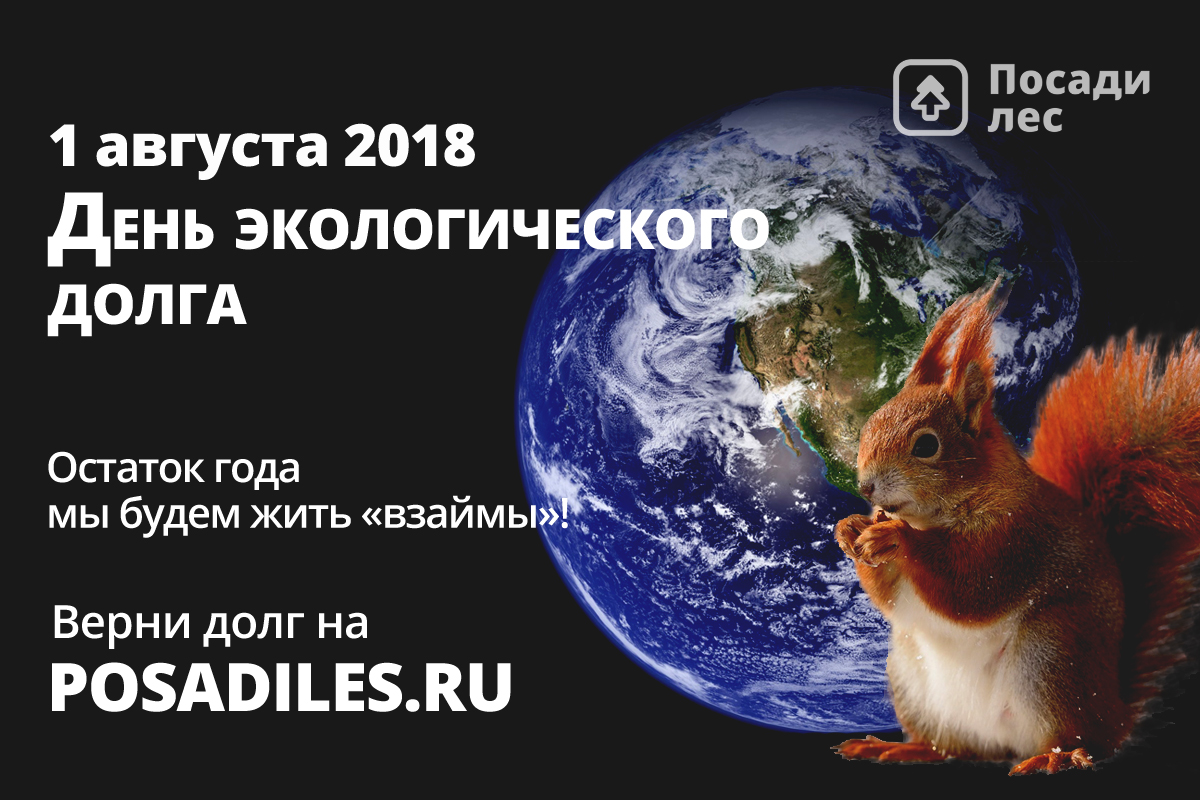 В День экологического долга россияне могут компенсировать свой углеродный след - фото 2