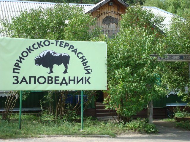 В Библиотеке для молодёжи (РГБМ) откроется фотовыставка о Приокско-Террасном заповеднике - фото 1
