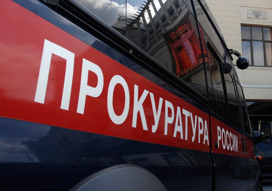 В морском порту Усть-Луга терминалы портят экологию - фото 1