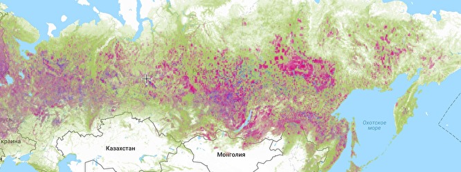 За последний год Россия потеряла 5,3 млн гектаров леса- Гринпис - фото 1