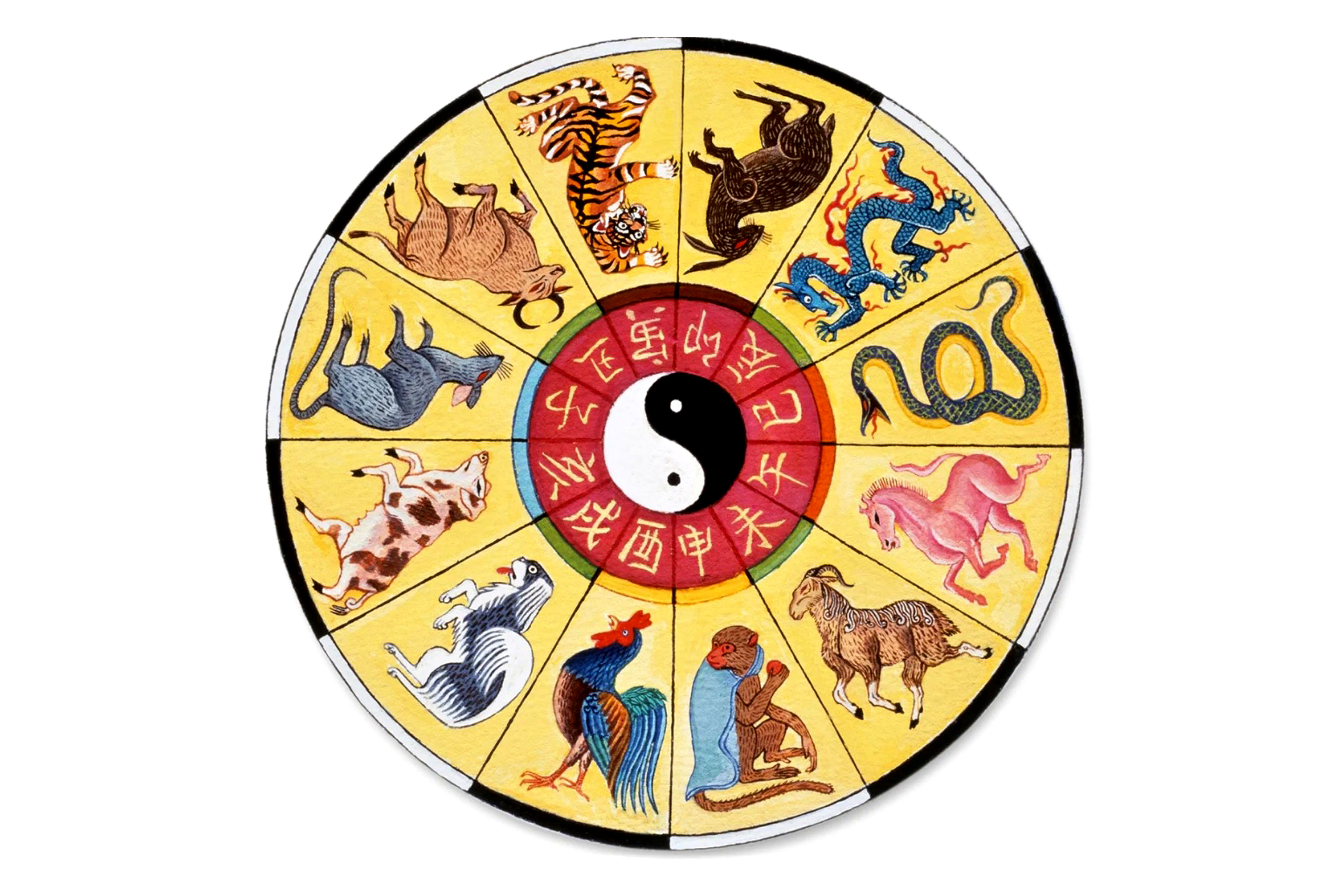 Январь восточный календарь. Зодиакальный круг по годам животных. Животные восточного календаря. 12 Животных китайского гороскопа. Символы нового года животные.