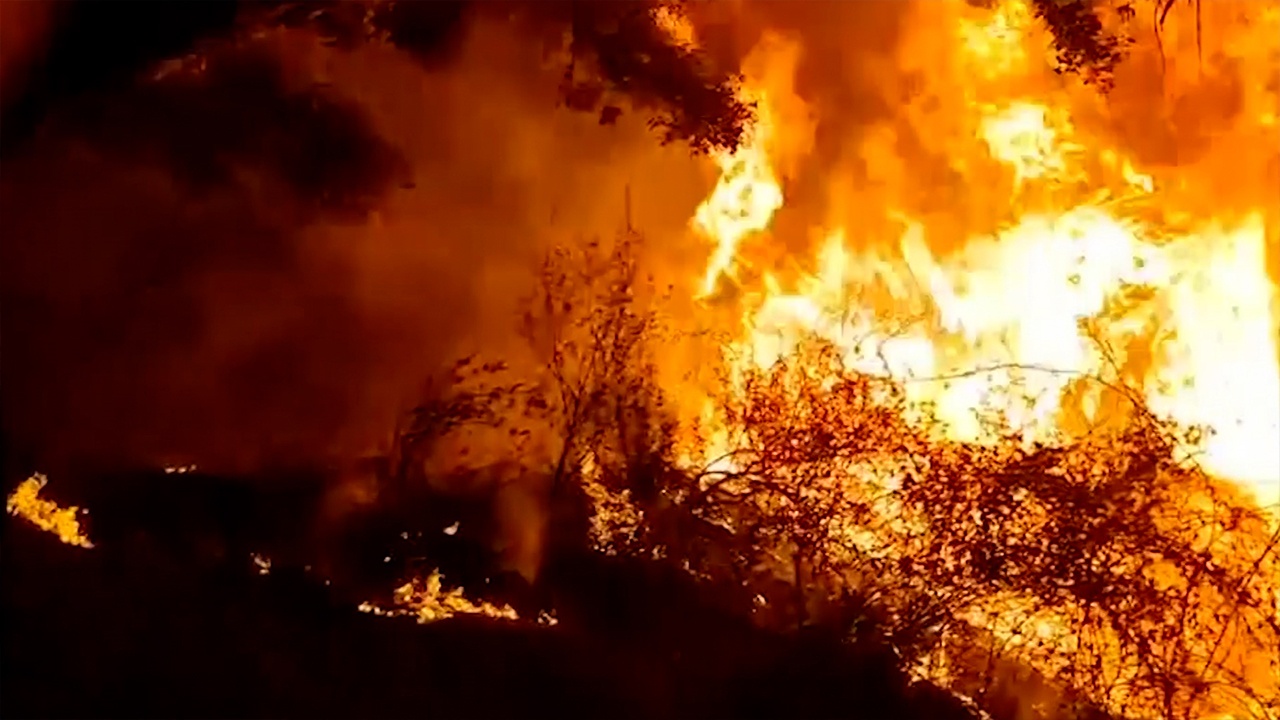 Аномальная жара спровоцировала лесные пожары в Испании - фото 1