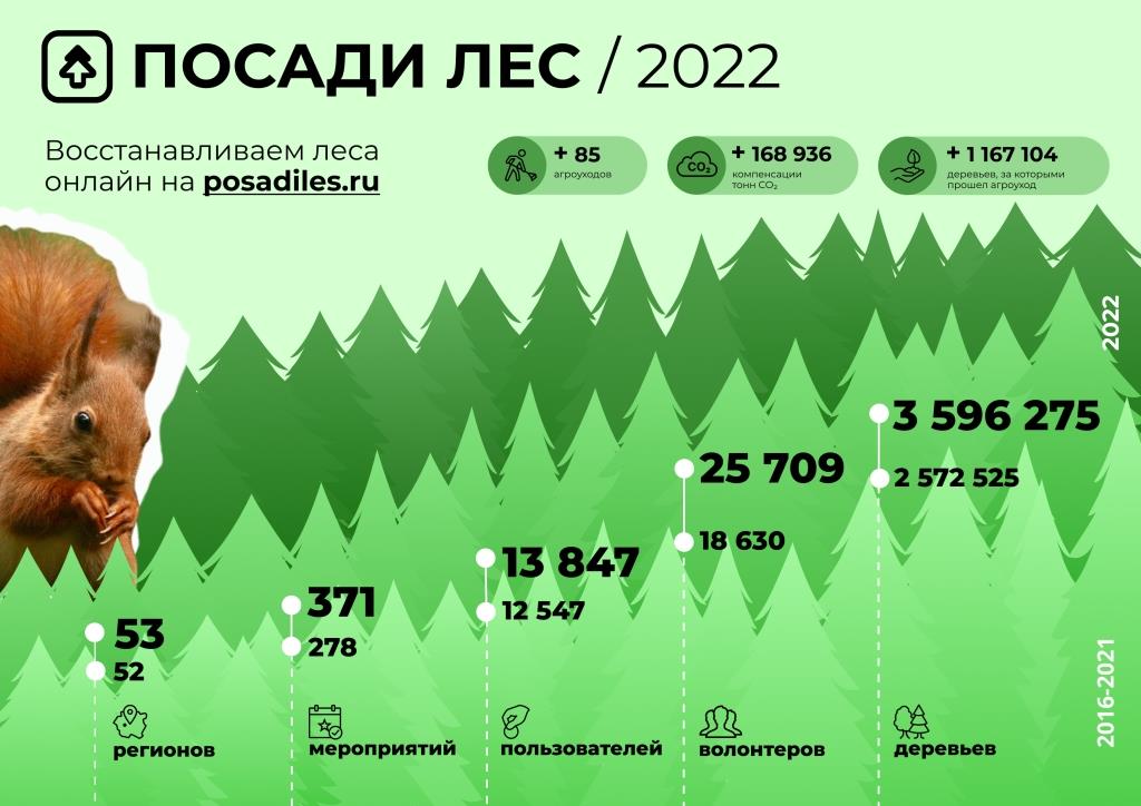 В России в 2022 году высадили больше миллиона деревьев - фото 2