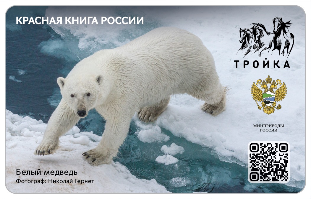 Заповедные «тройки»: Минприроды России и Московский метрополитен выпустили эксклюзивные транспортные карты - фото 1