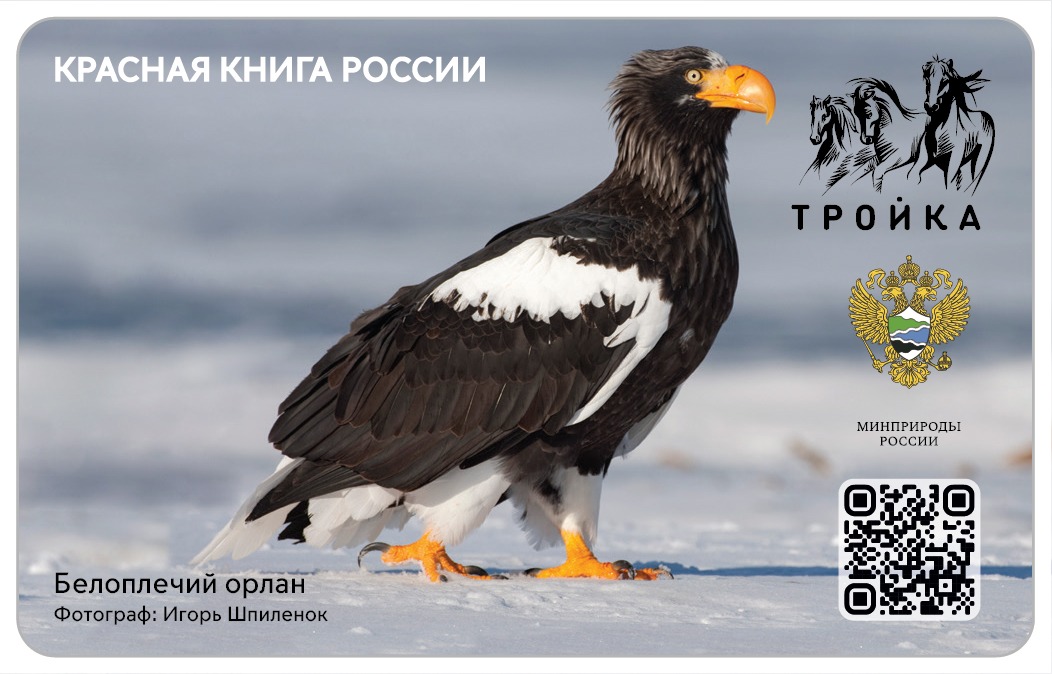 Заповедные «тройки»: Минприроды России и Московский метрополитен выпустили эксклюзивные транспортные карты - фото 2