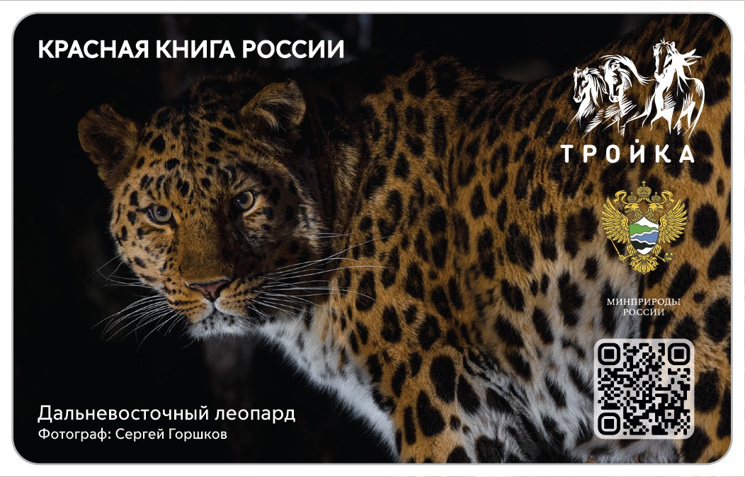 Заповедные «тройки»: Минприроды России и Московский метрополитен выпустили эксклюзивные транспортные карты - фото 3