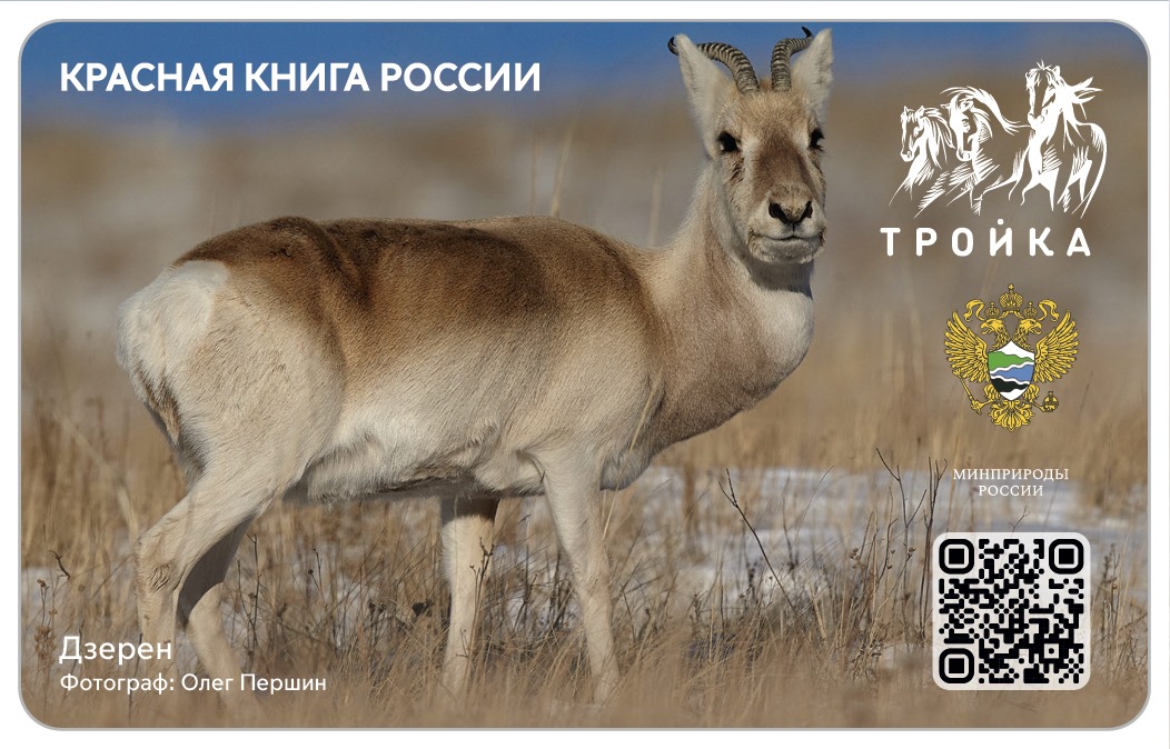 Заповедные «тройки»: Минприроды России и Московский метрополитен выпустили эксклюзивные транспортные карты - фото 4