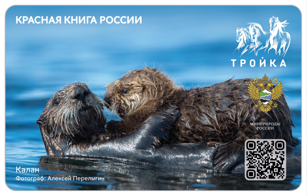 Заповедные «тройки»: Минприроды России и Московский метрополитен выпустили эксклюзивные транспортные карты - фото 5