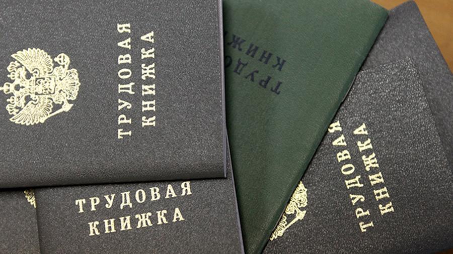 Дума приняла закон об электронных трудовых книжках - фото 1