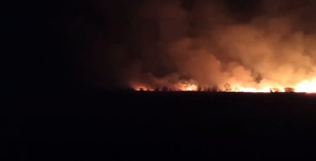Лесные пожары в Забайкальском крае могут быть из-за коммерческих поджогов - фото 1