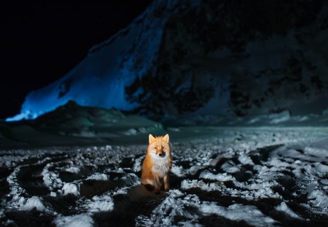 Фотограф Кори Арнольд (Corey Arnold) проплыл весь север Америки, делая эффектные снимки на Аляске и в Беринговом море - фото 12