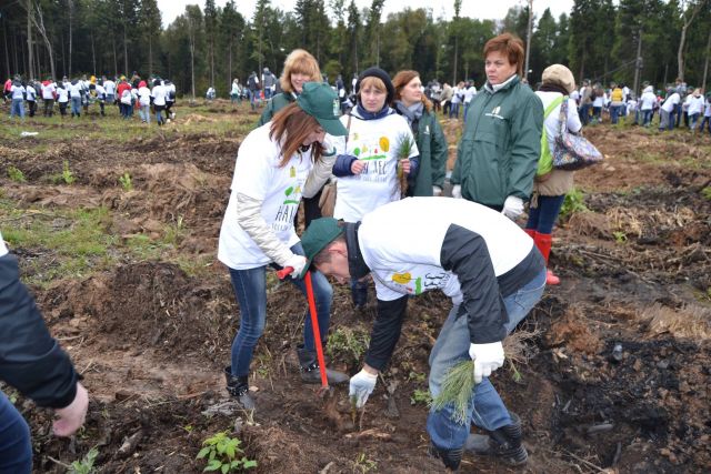 Губернатор Московской области Андрей Воробьев пригласил журнал "ЭкоГрад" на акцию «Наш лес. Посади свое дерево». Мы приехали, и вот что из этого получилось - фото 65