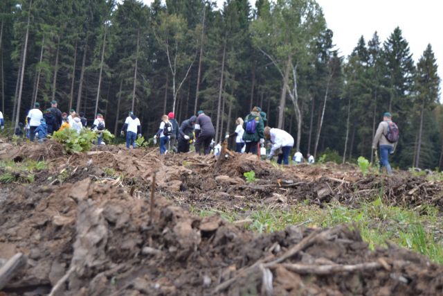 Губернатор Московской области Андрей Воробьев пригласил журнал "ЭкоГрад" на акцию «Наш лес. Посади свое дерево». Мы приехали, и вот что из этого получилось - фото 1