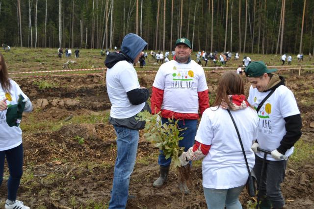 Губернатор Московской области Андрей Воробьев пригласил журнал "ЭкоГрад" на акцию «Наш лес. Посади свое дерево». Мы приехали, и вот что из этого получилось - фото 12