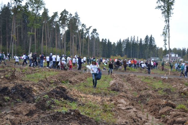Губернатор Московской области Андрей Воробьев пригласил журнал "ЭкоГрад" на акцию «Наш лес. Посади свое дерево». Мы приехали, и вот что из этого получилось - фото 22