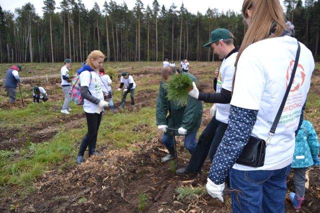 Губернатор Московской области Андрей Воробьев пригласил журнал "ЭкоГрад" на акцию «Наш лес. Посади свое дерево». Мы приехали, и вот что из этого получилось - фото 23