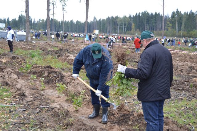 Губернатор Московской области Андрей Воробьев пригласил журнал "ЭкоГрад" на акцию «Наш лес. Посади свое дерево». Мы приехали, и вот что из этого получилось - фото 26