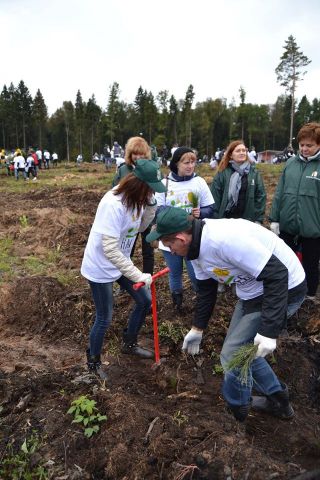 Губернатор Московской области Андрей Воробьев пригласил журнал "ЭкоГрад" на акцию «Наш лес. Посади свое дерево». Мы приехали, и вот что из этого получилось - фото 30