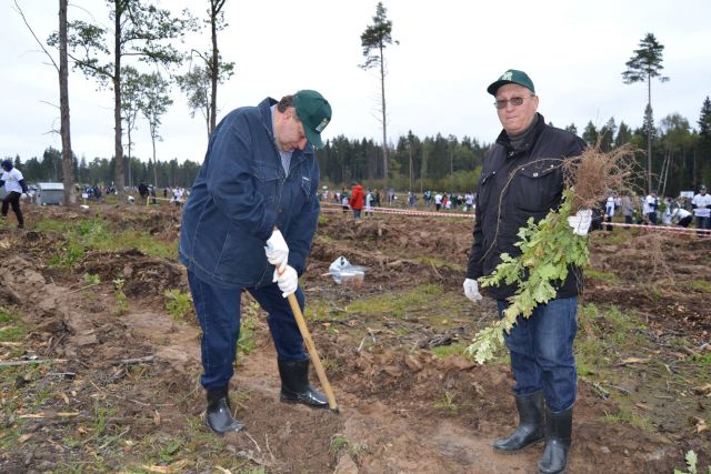 Губернатор Московской области Андрей Воробьев пригласил журнал "ЭкоГрад" на акцию «Наш лес. Посади свое дерево». Мы приехали, и вот что из этого получилось - фото 59