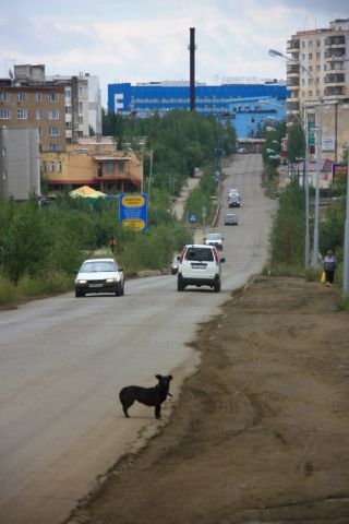 Город Мирный. Якутия. Фотоальбом от любящих горожан - фото 12