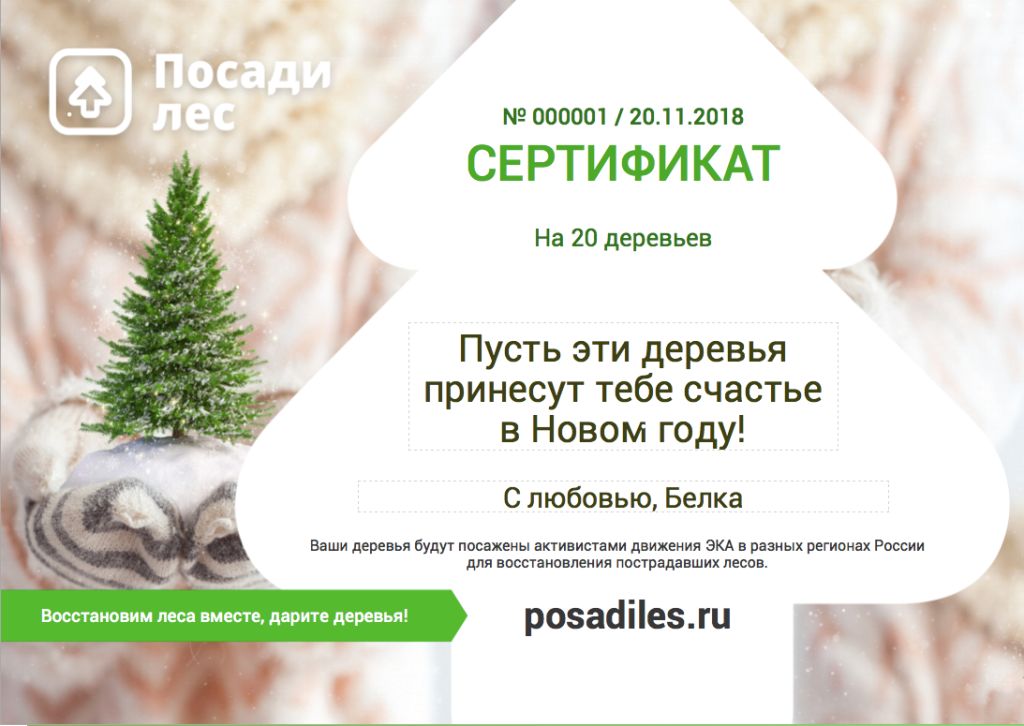В преддверии Нового года стартует акция “100 тысяч новых елок стране”2019  - фото 1