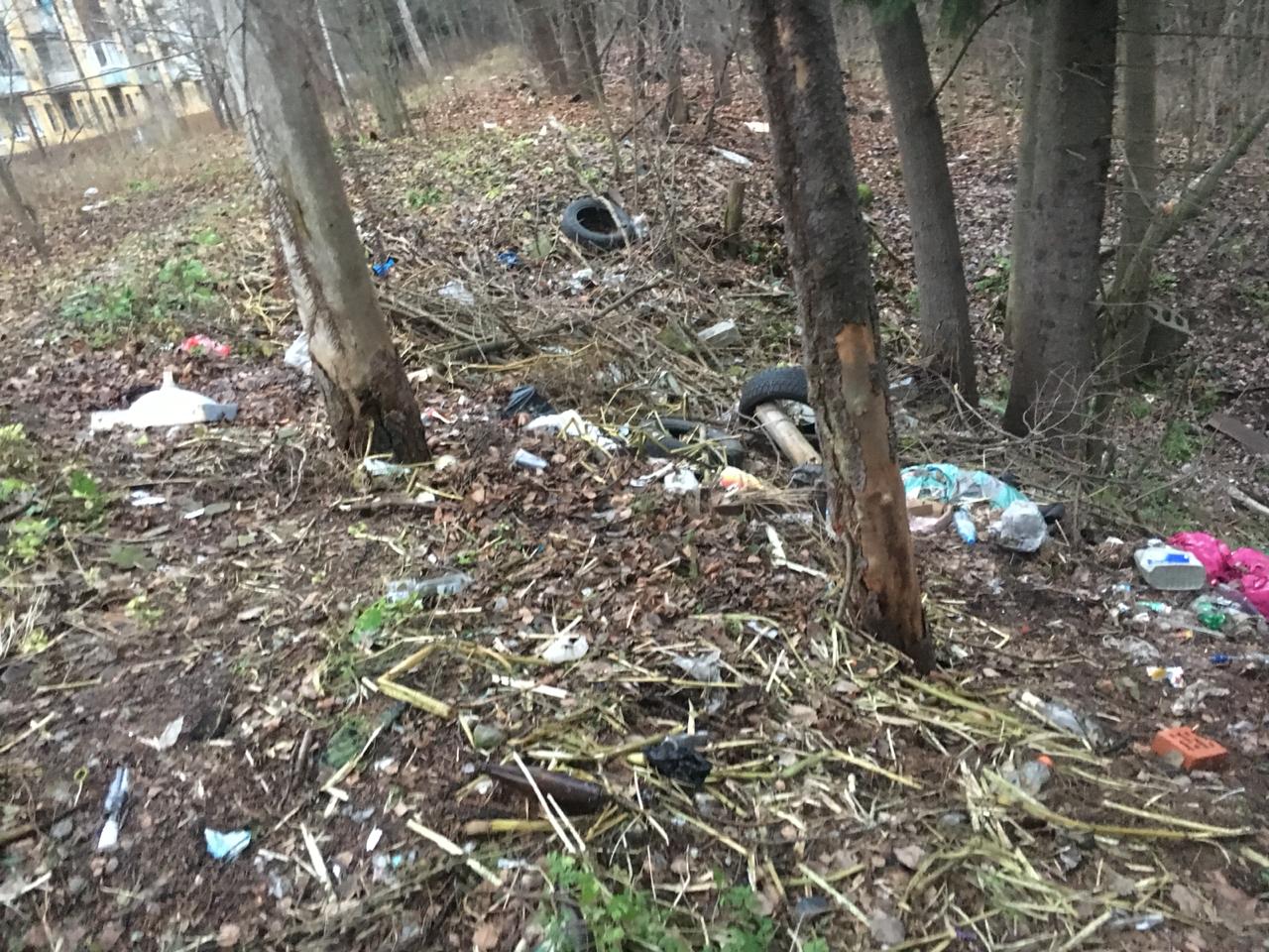 "ЭкоГрад" продолжает чистить Ленинградскую область - фото 2