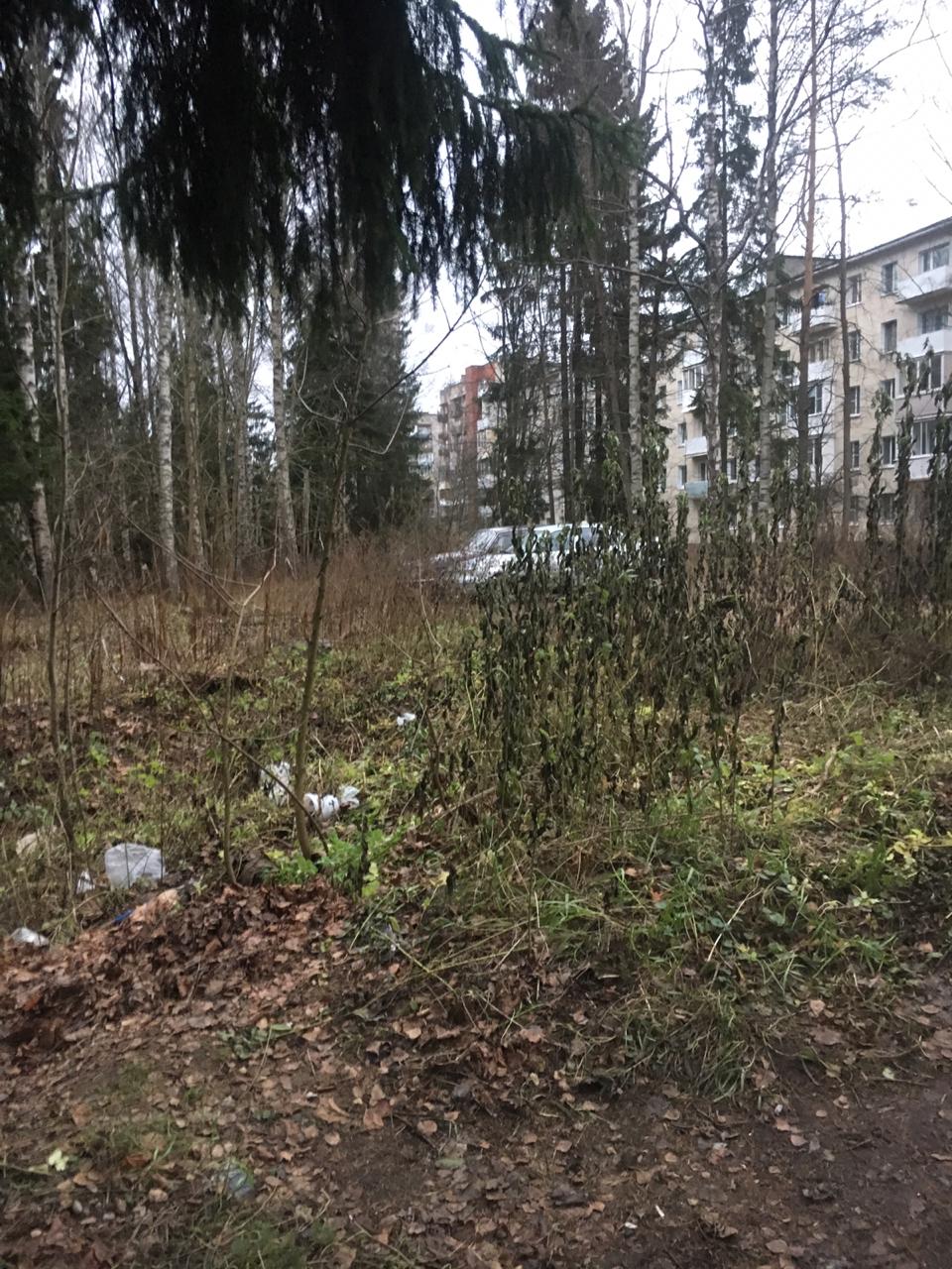 "ЭкоГрад" продолжает чистить Ленинградскую область - фото 3
