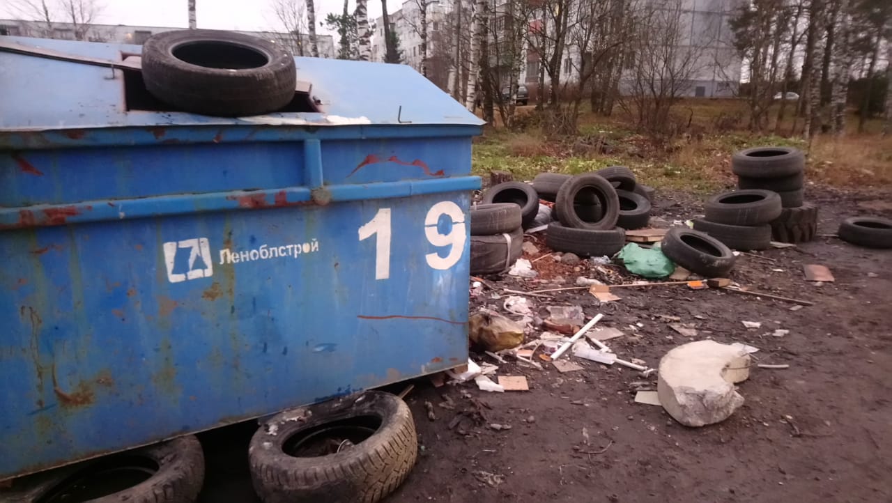 "ЭкоГрад" продолжает чистить Ленинградскую область - фото 4