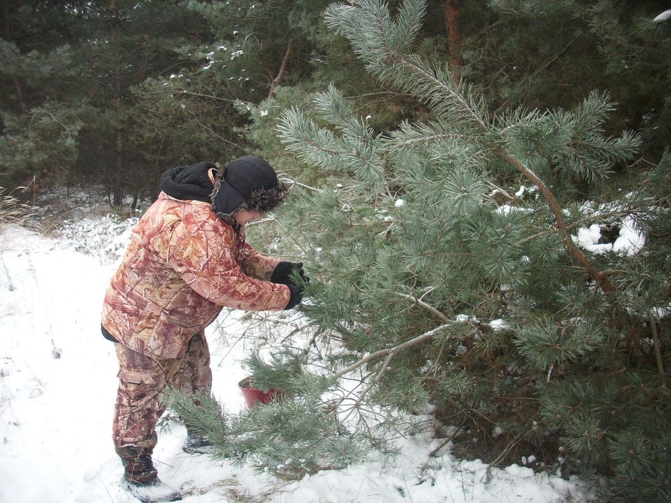 Реализация национального проекта «Экология» на Белгородчине - фото 2