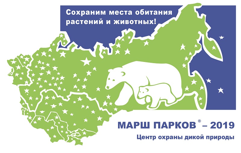МАРШ ПАРКОВ-2019  - фото 1
