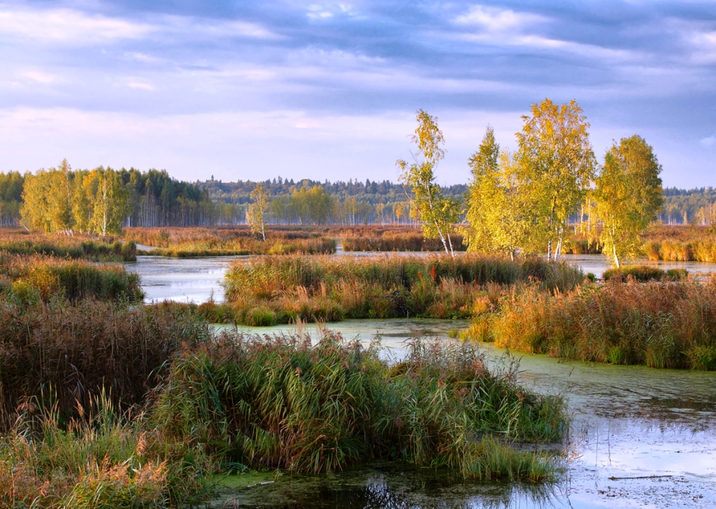 Александр Дементьев: Стоит комод - фото 1