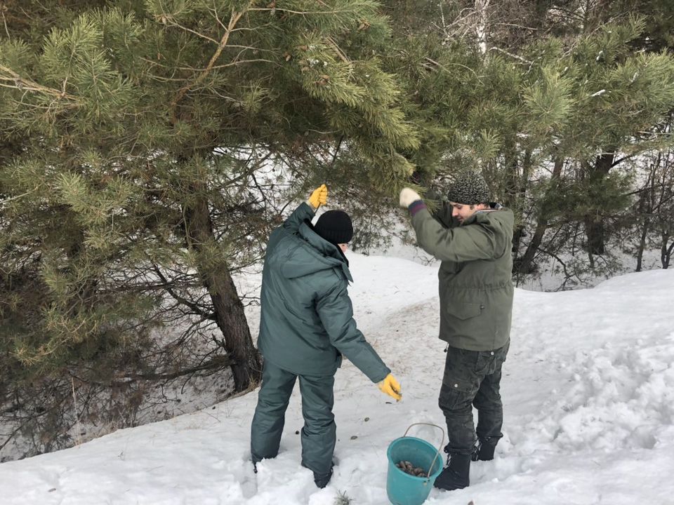 Реализация национального проекта «Экология» на Белгородчине - фото 1