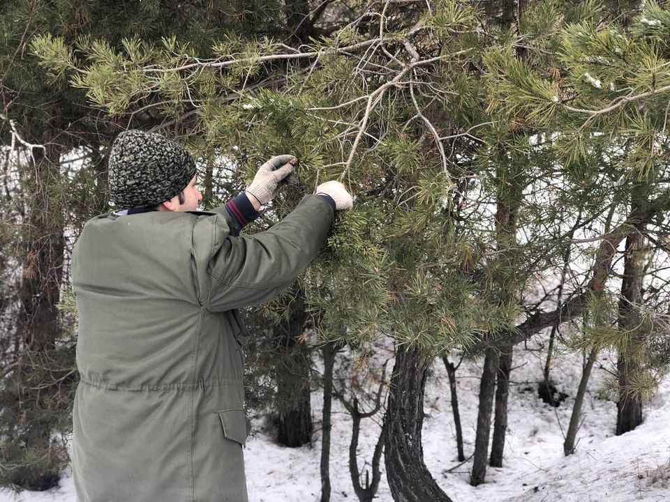 Реализация национального проекта «Экология» на Белгородчине - фото 3