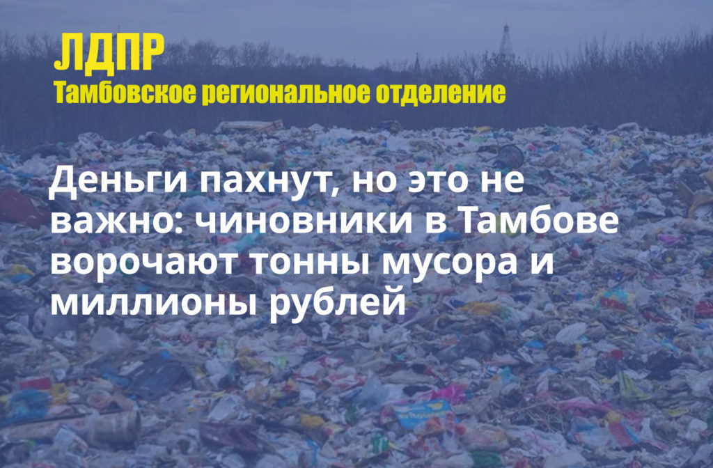 Мусорная реформа на Тамбовщине: чиновники в Тамбове ворочают тонны мусора и миллионы рублей - фото 1