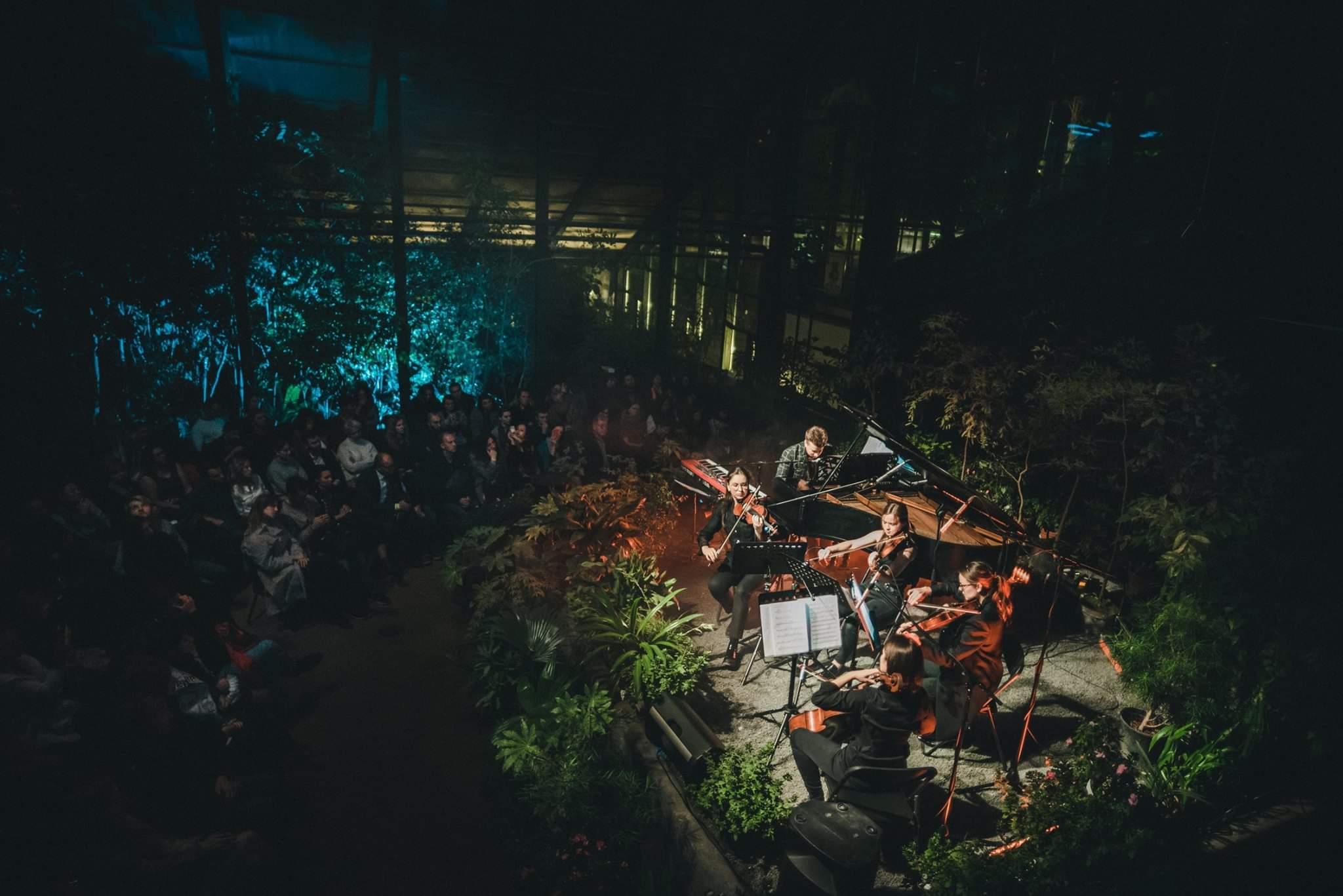 Татьянин день в "Аптекарском огороде" отметят джазовым концертом в тропиках - фото 4