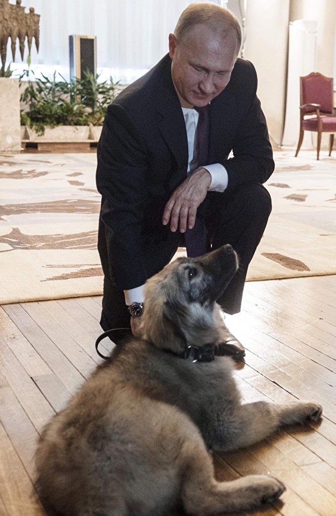 Президент Сербии подарил Владимиру Путину щенка по кличке Паша - фото 1