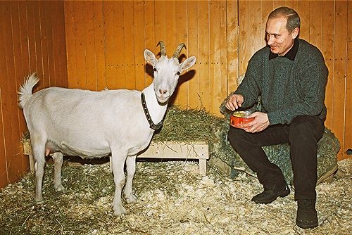 Создается «Российский экологический оператор» - фото 1