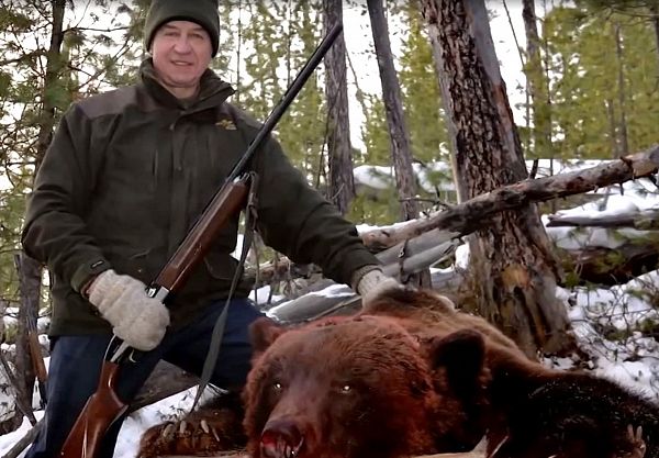 В соцсетях возмущены жестокостью губернатора, расстрелявшего спящего медведя - фото 1