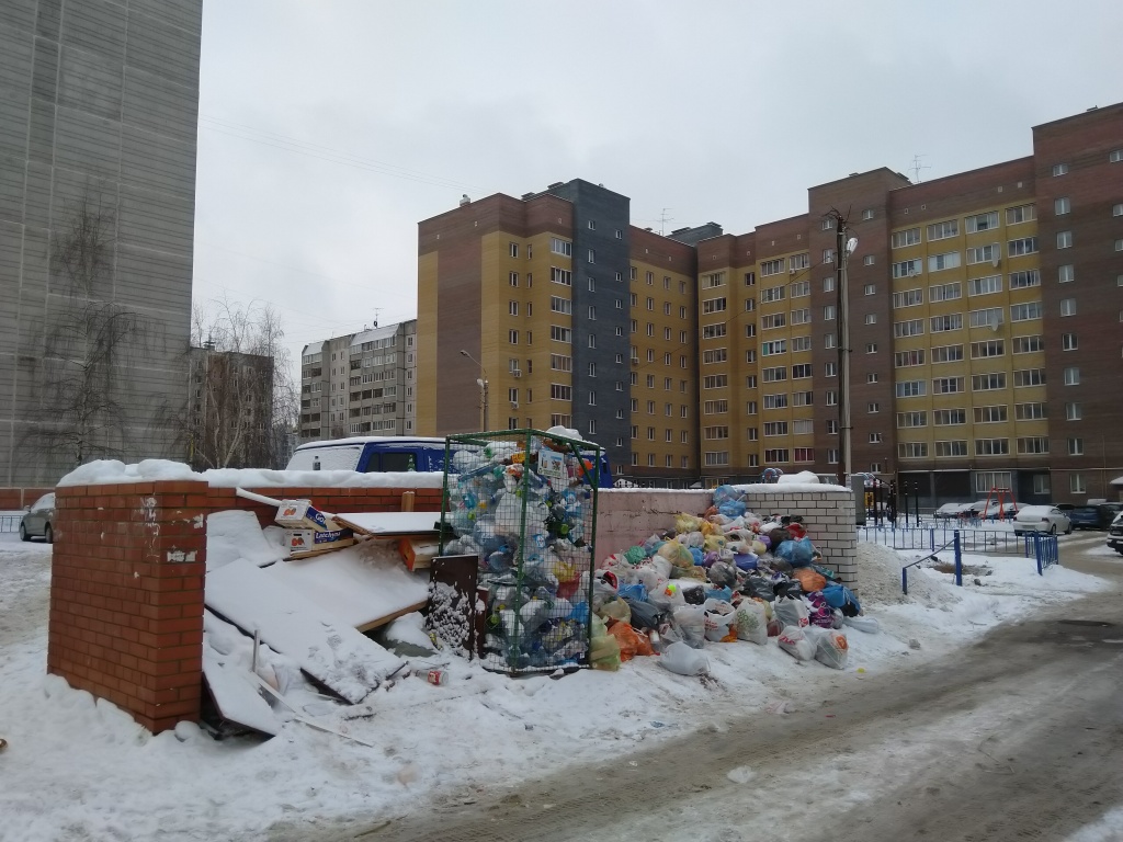 После старта «мусорной реформы» в ряде регионов и городов мусор просто перестали вывозить - фото 5