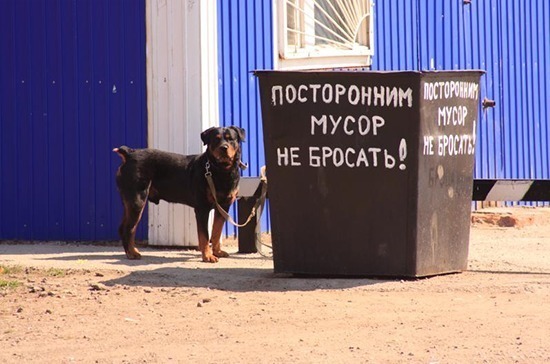С нового года в Татарстане будет действовать новый тариф на вывоз мусора - фото 1