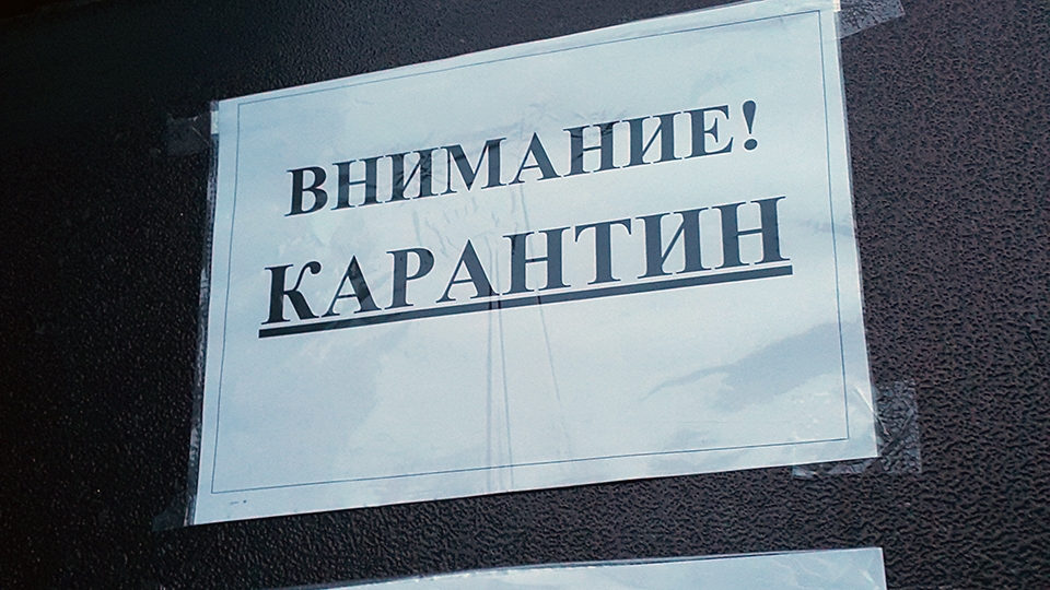 Школы Саратова закрываются на недельный карантин с завтрашнего дня - фото 1