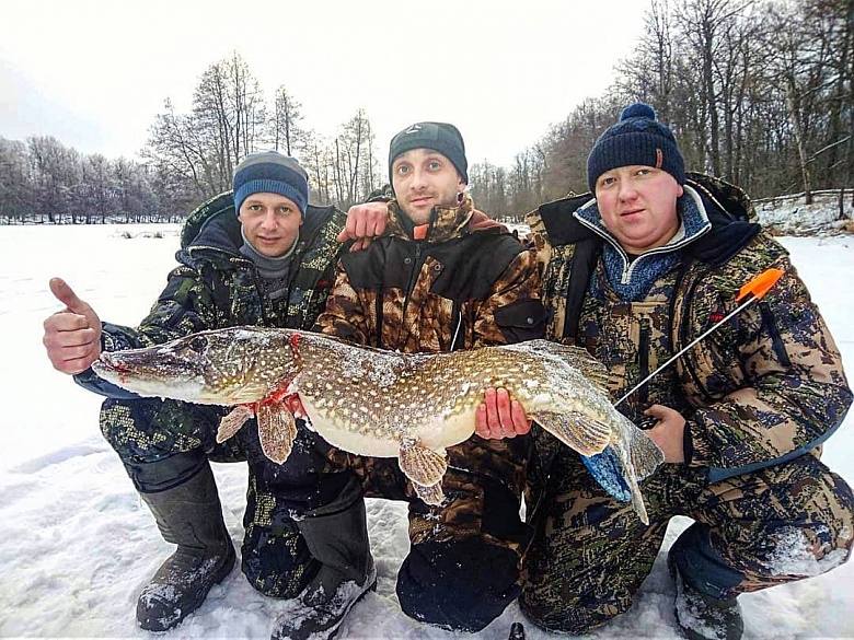 В Вязниковском районе поймали щуку весом 8,5 кг - фото 1