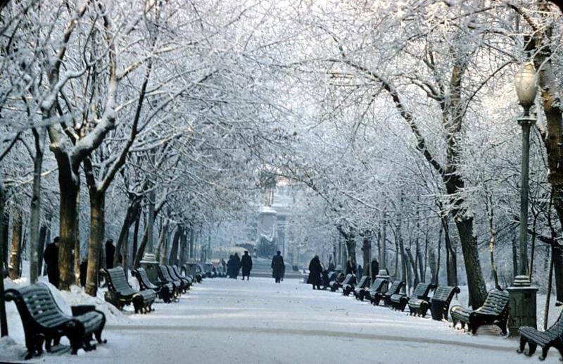 В Гидрометцентре рассказали, какой будет зима - фото 1