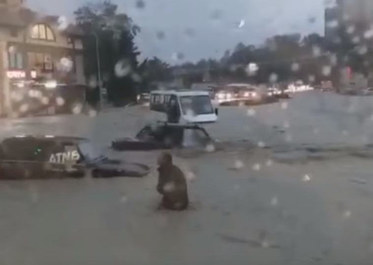 По улицам Туапсе плывут машины, заборы и холодильники - фото 4