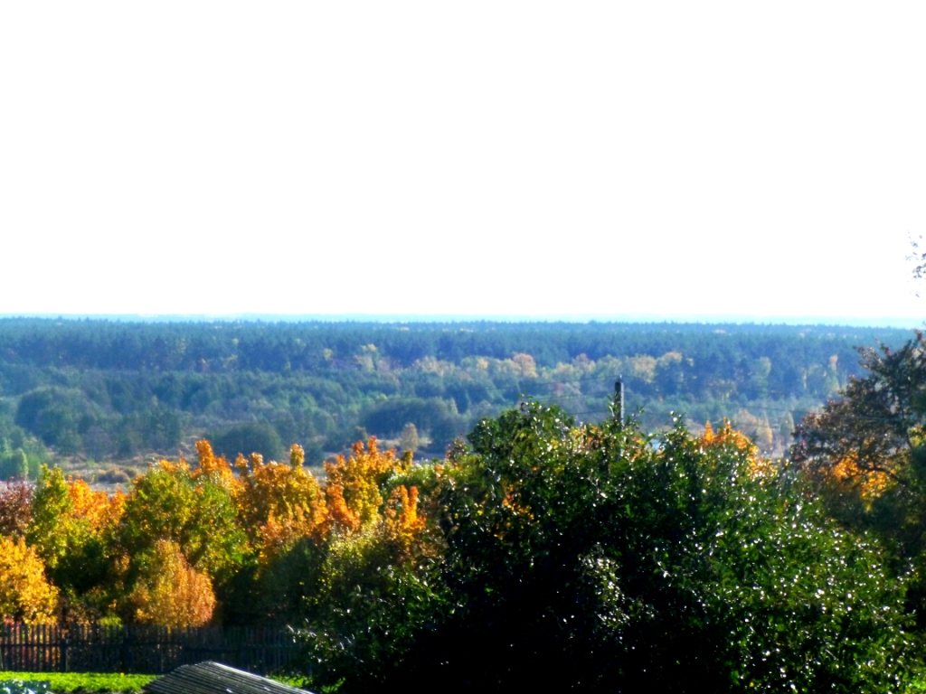 А из нашего окна осень рыжая видна… - фото 1